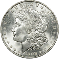 Morgan Silver Dollar Coin